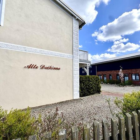 1021- Alte Da H Me - Neu Lejlighed Dahme  Eksteriør billede